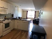 CLOSE TO UW - ALL MALE APT.  - ONLY ONE ROOM LEFT - Photo 4