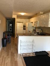 CLOSE TO UW - ALL MALE APT.  - ONLY ONE ROOM LEFT - Photo 5