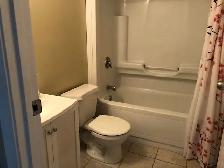 CLOSE TO UW - ALL MALE APT.  - ONLY ONE ROOM LEFT - Photo 6