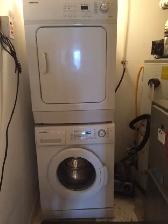 CLOSE TO UW - ALL MALE APT.  - ONLY ONE ROOM LEFT - Photo 8
