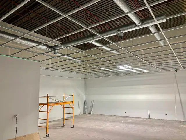 Professional Ceiling Installation - Commercial & Residential