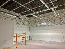 Professional Ceiling Installation - Commercial & Residential