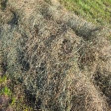Horse and Cattle Hay - Photo 3