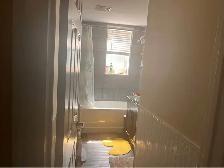2 Bedroom 1 Bathroom Apartment - Photo 5