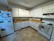 2 Bed 1.5 Bath House Plus Den for Rent by The UofM - Photo 7
