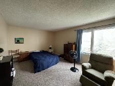 2 Bed 1.5 Bath House Plus Den for Rent by The UofM - Photo 10
