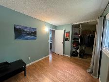 2 Bed 1.5 Bath House Plus Den for Rent by The UofM - Photo 14