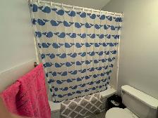 2 Bed 1.5 Bath House Plus Den for Rent by The UofM - Photo 17