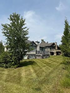 Landscape Maintenance Team Member - Photo 3