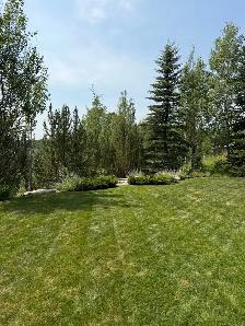 Landscape Maintenance Team Member - Photo 4