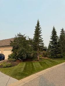 Landscape Maintenance Team Member - Photo 6