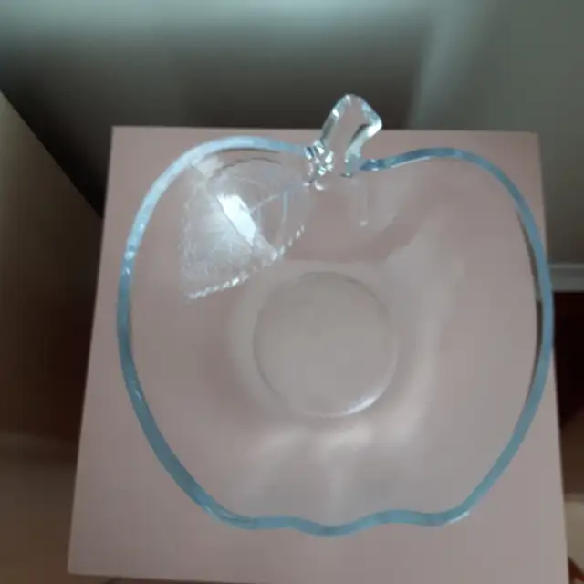 BEAU VASE NEUF EN VERRE ÉPAIS 9'LARx4'HAU AVEC UNE FLEUR: $10.00