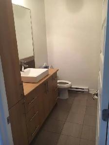 5 1/2 - Condo à louer - Longueuil - Photo 3