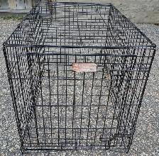 iCrate® Dog Crate 36-inch Single Door.