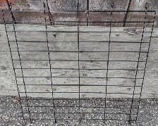 iCrate® Dog Crate 36-inch Single Door. - Photo 5