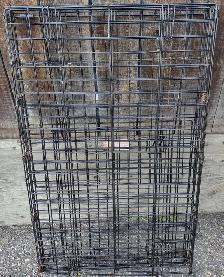 iCrate® Dog Crate 36-inch Single Door. - Photo 6