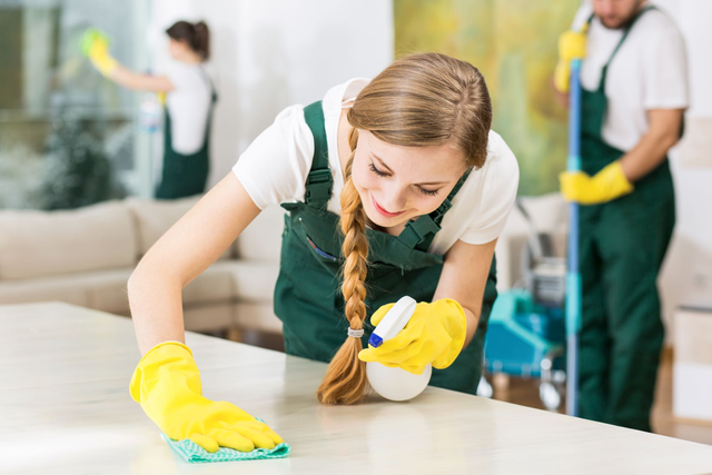 House Cleaner Needed!