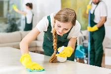 House Cleaner Needed!