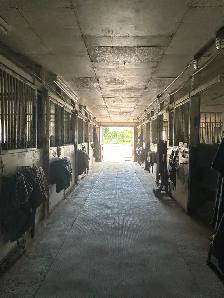 Outdooor Horse Board