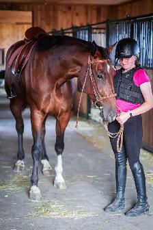 17 hand sport horse type gelding - Photo 8
