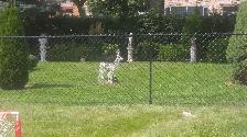 Fence Masters - Photo 10