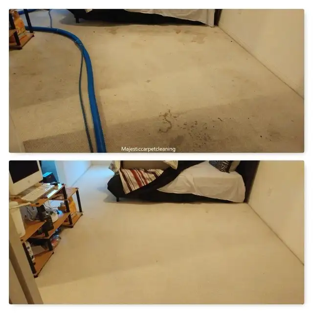 Rug, Carpet And Upholstery Cleaner(Free Sample)
