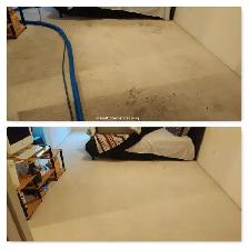 Rug, Carpet And Upholstery Cleaner(Free Sample)