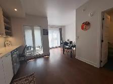 1bed 1 bath  all furniture - Photo 3