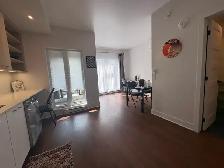 1bed 1 bath  all furniture - Photo 4