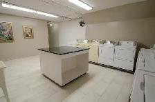 September Free - Bronson/Carling -1 Bdrm - Photo 7