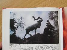 HISTORIC NEWFOUNDLAND by Harold Horwood - 1986 HC - Photo 8
