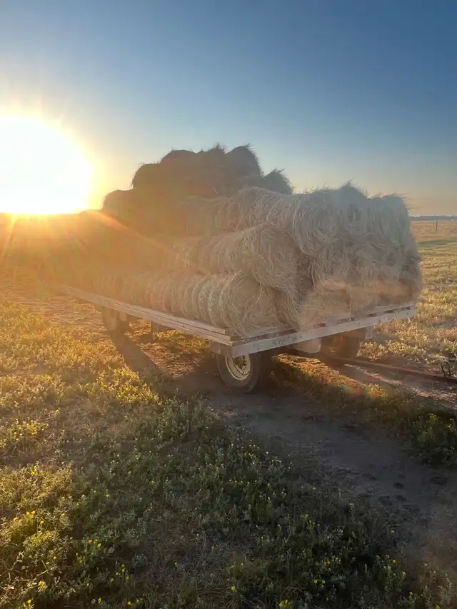 little hay bales for sale