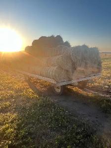 little hay bales for sale