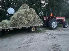 little hay bales for sale - Photo 2