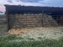 little hay bales for sale - Photo 3
