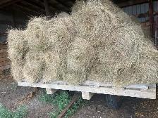 little hay bales for sale - Photo 4