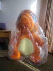 3.8ft tall charmander
