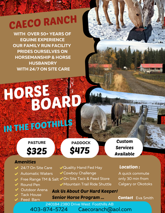 Horse Board In The Foothills