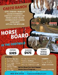 Horse Board In The Foothills
