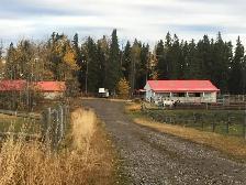 Horse Board In The Foothills - Photo 4