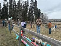 Horse Board In The Foothills - Photo 5