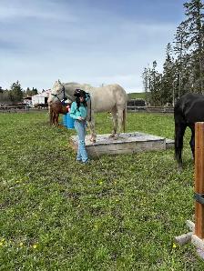 Horse Board In The Foothills - Photo 6