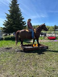 Horse Board In The Foothills - Photo 7