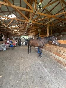 Horse Board In The Foothills - Photo 9