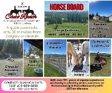 Horse Board In The Foothills - Photo 10