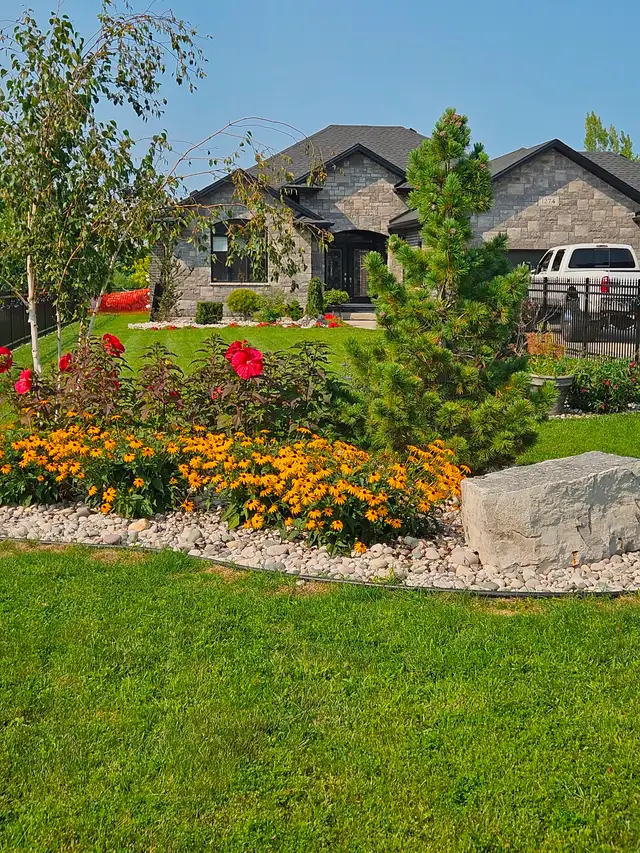 Basement suite with shared access for rent