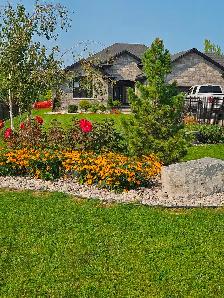Basement suite with shared access for rent