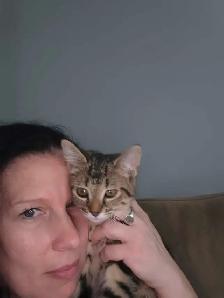 Bengal mix - Photo 5