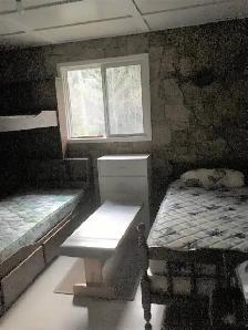Well-treed recreational 100-acre property w/cottage Sunridge ON - Photo 7