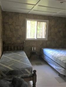 Well-treed recreational 100-acre property w/cottage Sunridge ON - Photo 8